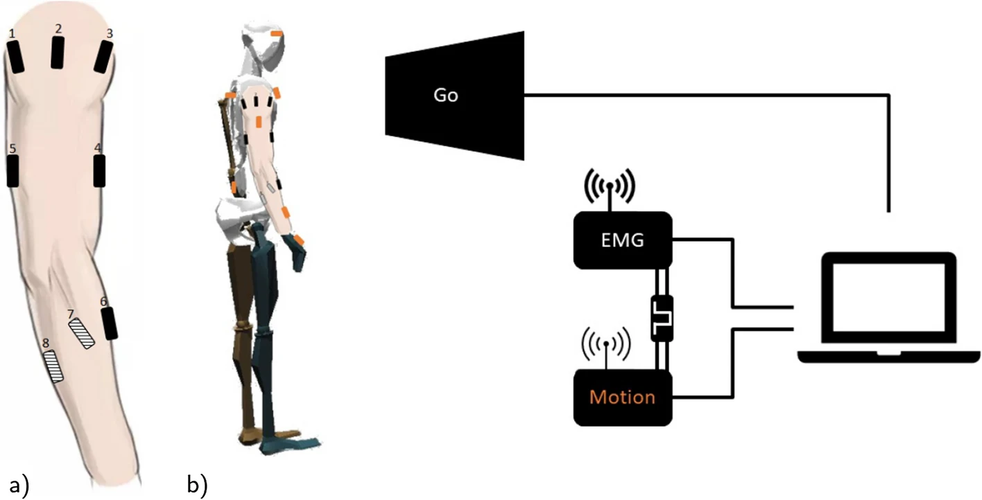The Concepts of Muscle Activity Generation Driven by Upper Limb Kinematics