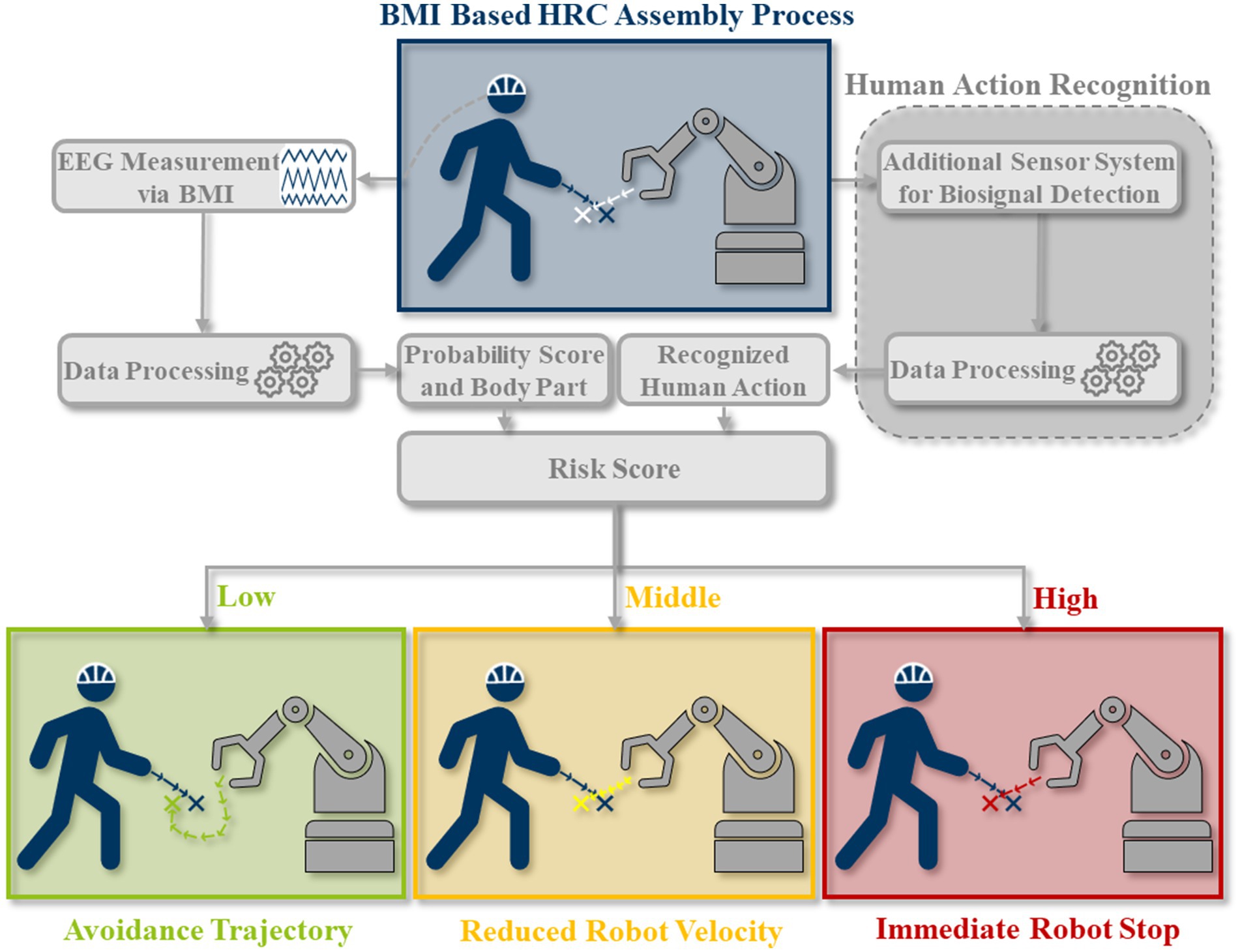 Human in the Collaborative Loop: A Strategy for Integrating Human Activity Recognition and Non-Invasive Brain-Machine Interfaces to Control Collaborative Robots