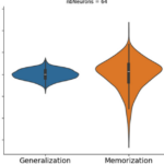 Distributional Properties of~ReLU-Activations in~Artificial Neural Networks That~Learn by~Memorization